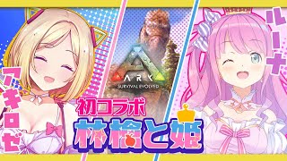 【Ark】冒険編：ルーナちゃんと初コラボ！アルゲンを可愛く捕まえちゃおう！【ホロライブ/アキロゼ×姫森ルーナ 】