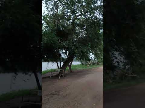 San Zenón Magdalena amanece bajo lluvia con tormenta eléctrica 🥶