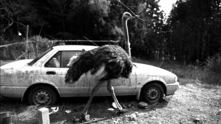 World Ain&#39;t Right-Hurt