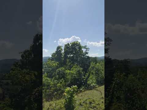 Subiendo el Obelisco del poblado Cañadon el el municipio de Banes. 