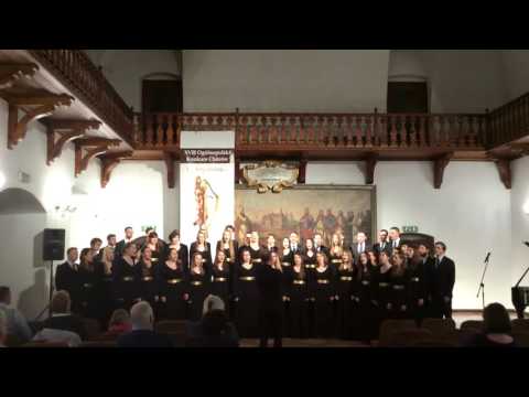 O TIEBIE RADUJETSIA -  Romuald Twardowski