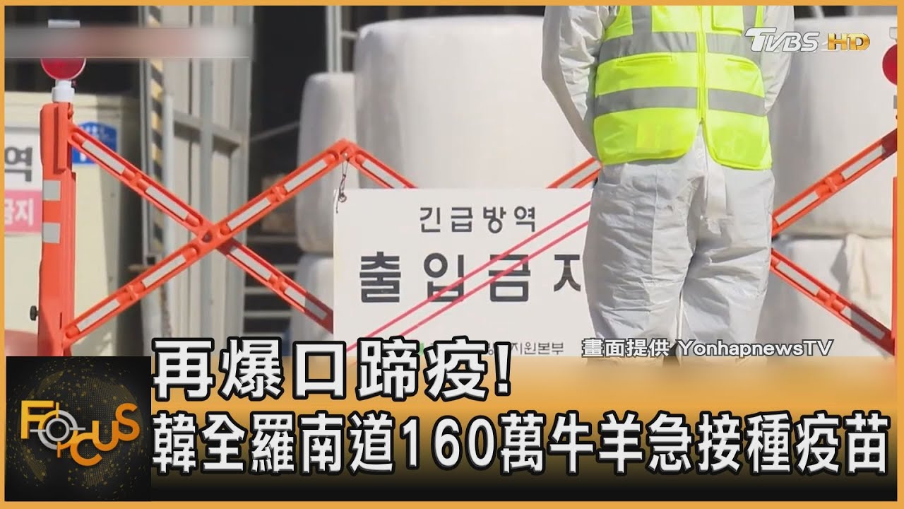 再爆口蹄疫!韓全羅南道160萬牛羊 急接種疫苗
