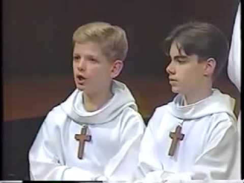 Miniatura del video