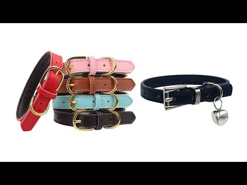 The Best Cat Leather Collar - Top 5 Cat Leather Collar Reviews
