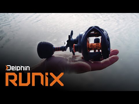 Delphin RUNIX