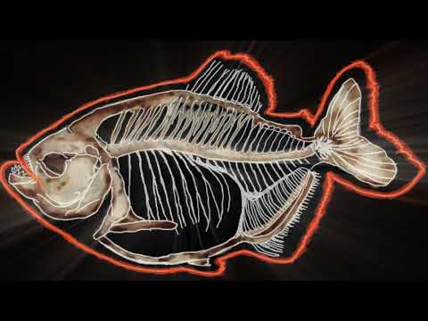 SHEILA Records - DORSALGIA (EP COMPLETO) - Coronel, Matheus Coringa, MANDNAH, Saskia e 1lum3