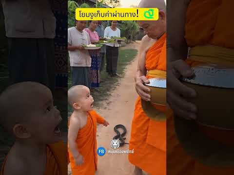 โยมงูเก็บค่าผ่านทาง! 🐍