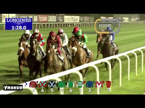 DWC 2016 Race 8 - Dubai Sheema Classic Presented By Longines