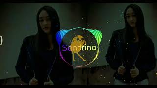 Download lagu SANDRINA - Goyang dua jari official audio visualizer mp3
