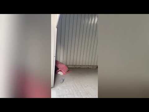 Property video thumbnail