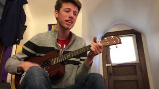 Olly Murs - Flaws (cover)