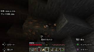 マイクラ　ネザー鉄道整備屋さん　ピちゃんより