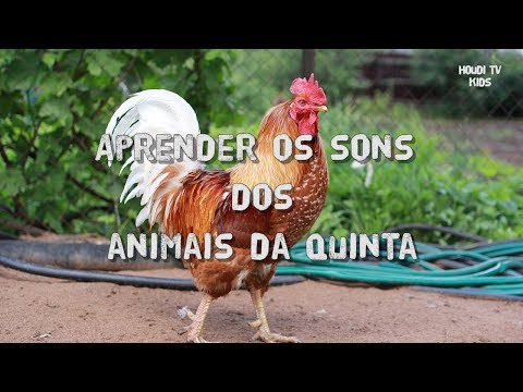 Aprende os Animais da Quinta com os Sons - Português (Portugal)