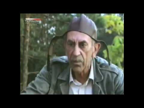 █▬█ █ ▀█▀ - Rozmowy przy wycinaniu lasu - trucizna, przez ucho do mózgu