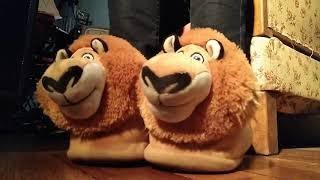 Ce que vous ne verrez jamais en concert, même en concert confiné 😅🎶