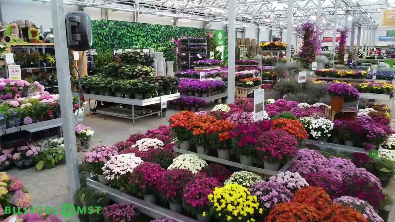 Forhåndsvisning af dronevideo for Billig Blomst A/S i Randers
