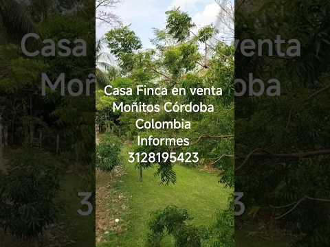 Casa Finca en Venta Moñitos Cordoba