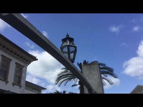 歴史資料館建物の特徴（英語）