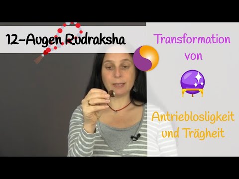 12-Augen Rudraksha (12 Mukhi) - Transformation von Antrieblosligkeit und Trägheit