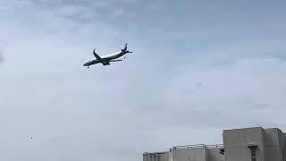 Indigo flight