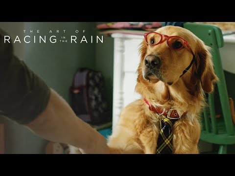 The Art Of Racing In The Rain Fox Movies Official Site
