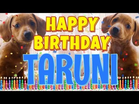Happy Birthday Taruni! ( Funny Talking Dogs ) What Is Free On My Birthday