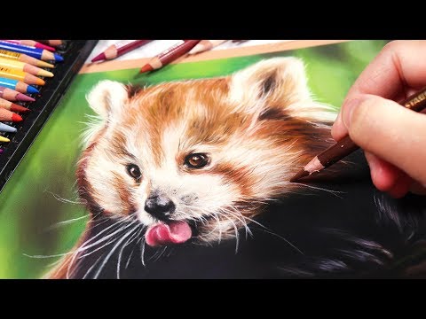 HOW TO DRAW WITH PASTELS - Realistic Animal Drawing...