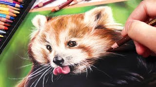 HOW TO DRAW WITH PASTELS - Realistic Animal Drawing Tutorial