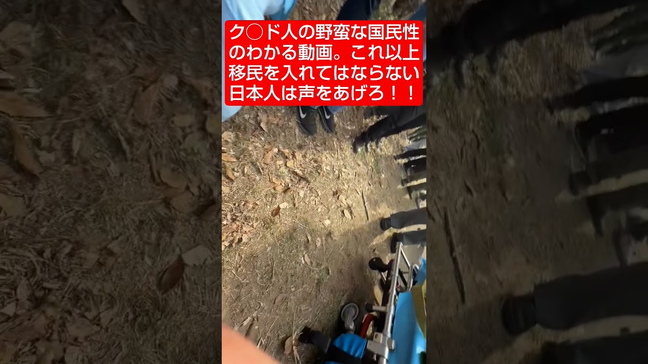 クルド人の野蛮性、国民性。日本人は今こそ声をあげろ！#Shorts #日本大和党 #河合ゆうすけ #外国人 #移民 #テロ組織#保守 #政治#政治初心者