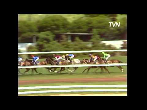 1991 Melbourne Cup - Let's Elope