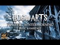 A Peaceful Winter Morning At Hogwarts ️ 4K Harry Potter Music Ambience