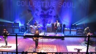 Not The One by Collective Soul @ Dallas HOB