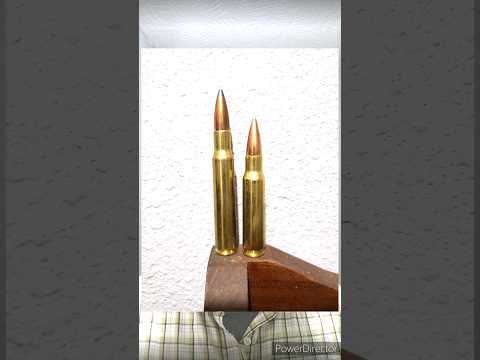 Winchester model 70, 30-06. Would you take this hunting??