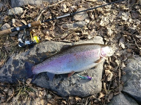 Merikarvianjoki 3.4.2019 Holmankoski