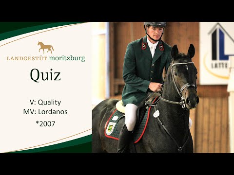 QUIZ v. Quality - Lordanos