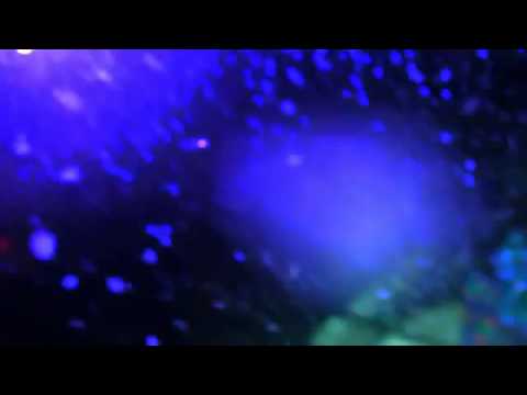 Psycrowdelica 2009 Megalopsy LiveDjset