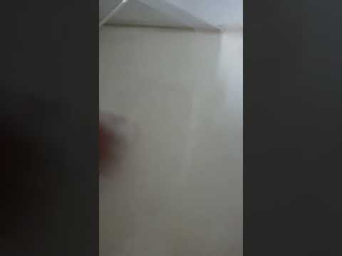 Phenyle Floor Black Phenyl, Size: 450ml Phenyel