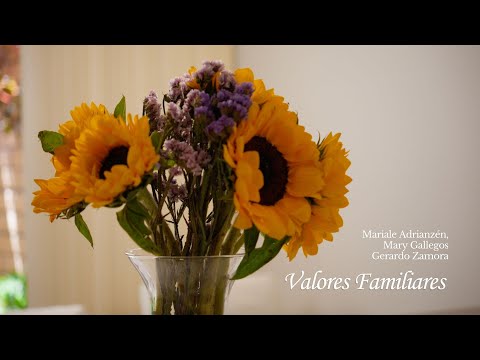 "Valores Familiares" - cortometraje