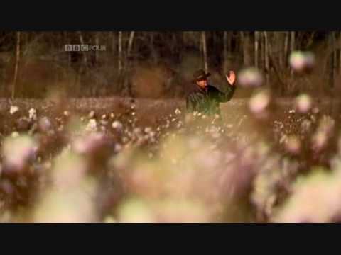 Rich Hall - Dirty South - Biopic Clip.wmv