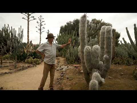 Cactus Country