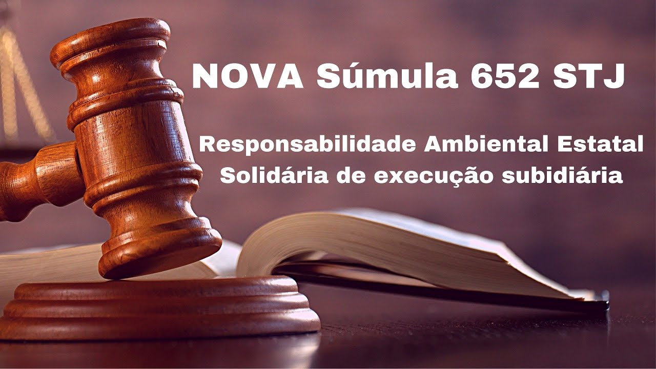 NOVA SÚMULA 652 STJ. Responsabilidade ambiental do Estado por omissão.