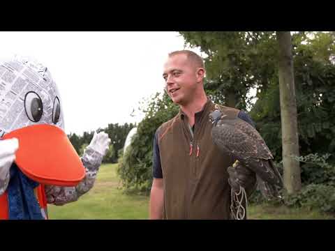 Welche Tiere gibt es am Flughafen Köln/Bonn?