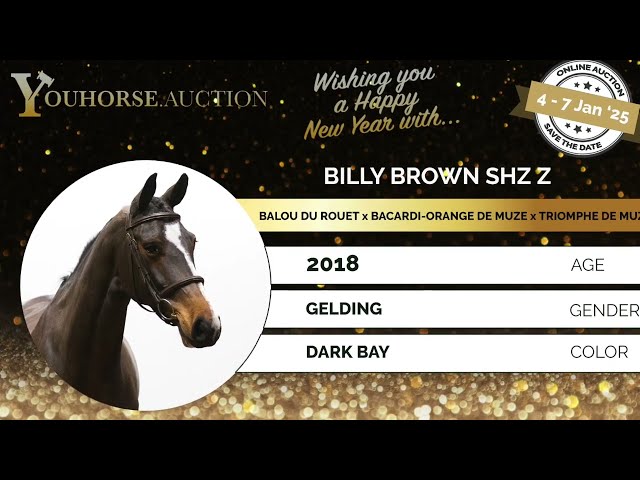 Billy Brown showvideo