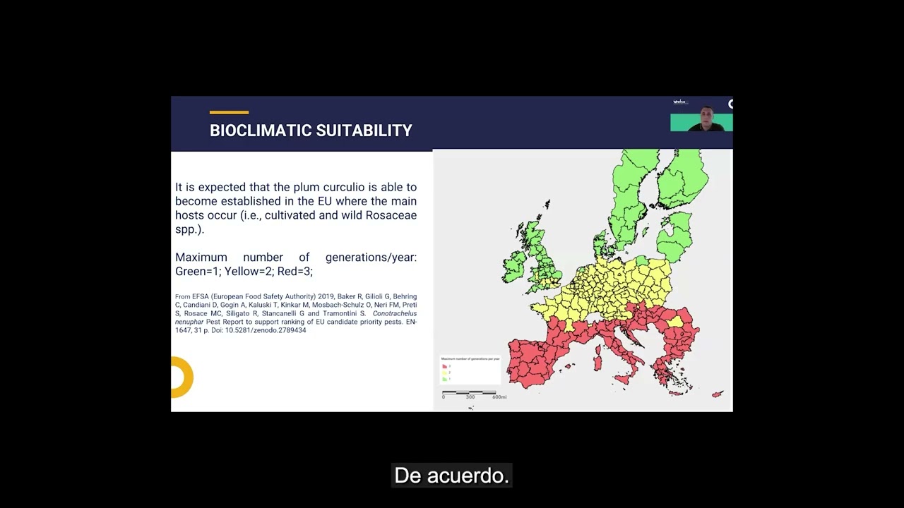 Statistically sound survey of Conotrachelus nenuphar - Spanish subtitles