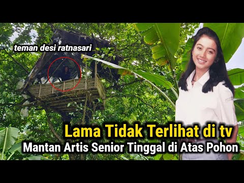 TAK MASUK AKAL!! MANTAN ARTIS SENIOR BERSEMBUNYI DI RUMAH POHON DALAM HUTAN