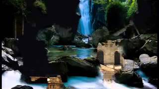 Live in Lugano 'Wickets'