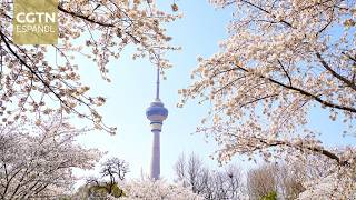 El parque Yuyuantan apuesta por experiencias inmersivas para generar valor durante todo el año