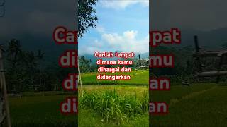 Download lagu Ibarat kata 'kacang lupa kulitnya' #quotes #katabijak #motivasi #shorts #viralvideo mp3