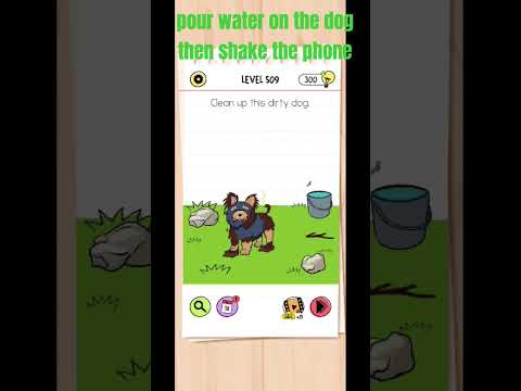 Level 509//Clean up the dirty dog. brain test #games #braintestsolution #braintest #brainmasti