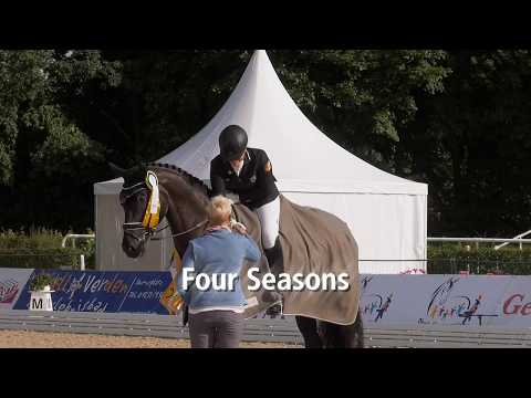 Hannoveraner Dressage Horse Championship 2017 - Six-year-olds
